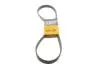 Ремінь генератора поліклиновий CONTINENTAL Contitech 6PK1080 EXTRA (фото 1)