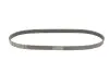 Ремінь генератора поліклиновий CONTINENTAL Contitech 6PK1090 ELAST (фото 2)