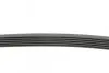 Ремінь генератора поліклиновий CONTINENTAL Contitech 6PK1105 (фото 2)
