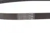 Ремінь генератора поліклиновий CONTINENTAL Contitech 6PK1145 (фото 2)