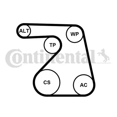 Комплект (ремінь+ролики) Contitech 6PK1217K2 (фото 1)