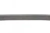 Ремінь генератора поліклиновий CONTINENTAL Contitech 6PK1249 ELAST (фото 2)