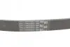 Ремінь генератора поліклиновий CONTINENTAL Contitech 6PK1264 (фото 3)