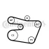 Комплект (ремінь+ролики+помпа) Contitech 6PK1538WP1 (фото 2)