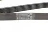 Ремінь генератора поліклиновий CONTINENTAL Contitech 6PK1555 (фото 3)