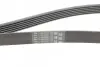 Ремінь генератора поліклиновий CONTINENTAL Contitech 6PK1660 (фото 3)