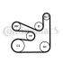 Комплект ременя генератора BMW (F30/F80) 12-/5 (F10/G30) 2.0d (B47) 13- (6PK1666) Contitech 6PK1660K5 (фото 2)