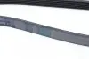 Ремінь генератора поліклиновий CONTINENTAL Contitech 6PK1675 (фото 3)