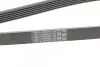 Ремінь генератора поліклиновий CONTINENTAL Contitech 6PK1680 (фото 4)