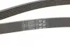 Ремінь генератора поліклиновий CONTINENTAL Contitech 6PK1743 (фото 3)