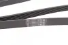 Ремінь генератора поліклиновий CONTINENTAL Contitech 6PK1815 (фото 3)