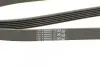 Ремінь генератора поліклиновий CONTINENTAL Contitech 6PK1830 (фото 4)