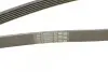 Ремінь генератора поліклиновий CONTINENTAL Contitech 6PK2035 (фото 4)