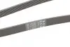 Ремінь генератора поліклиновий CONTINENTAL Contitech 6PK2050 (фото 3)