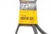 Ремінь генератора поліклиновий CONTINENTAL Contitech 6PK2050 (фото 6)