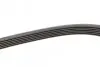Ремінь генератора BMW 3 (E46) 2.0d 01-05 CONTINENTAL Contitech 6PK2090 (фото 2)