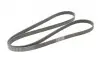 Ремінь генератора BMW 3 (E46) 2.0d 01-05 CONTINENTAL Contitech 6PK2090 (фото 5)