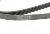 Ремінь генератора поліклиновий CONTINENTAL Contitech 6PK2310 (фото 4)