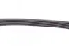 Ремінь генератора MB W124/W164 CONTINENTAL Contitech 6PK2360 (фото 4)