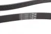 Ремінь генератора поліклиновий CONTINENTAL Contitech 6PK2528 (фото 3)