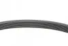 Ремінь генератора поліклиновий CONTINENTAL Contitech 6PK701 ELAST (фото 2)