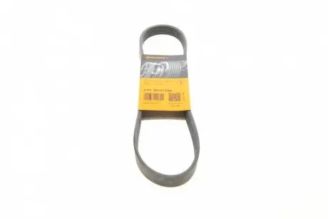 Ремінь поліклиновий Contitech 6PK802EXTRA