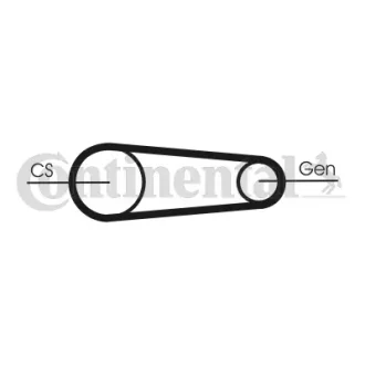 Ремінь генератора Ford Transit 2.0 DI/TDCi 00-06 Contitech 6PK831 ELAST T1