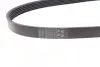 Ремінь генератора VW Golf VI/Caddy III 1.6-2.0 TDI 10-/Skoda Octavia 09-13/Audi A3 1.6/2.0TDI 03-13 CONTINENTAL 6PK842 ELAST Contitech 6PK842ELAST (фото 2)