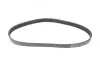Ремінь генератора VW Golf VI/Caddy III 1.6-2.0 TDI 10-/Skoda Octavia 09-13/Audi A3 1.6/2.0TDI 03-13 CONTINENTAL 6PK842 ELAST Contitech 6PK842ELAST (фото 5)