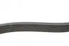 Ремінь генератора Citroen C1/Peugeot 107/Toyota Aygo 1.0 i 05-14 CONTINENTAL Contitech 6PK850 (фото 2)