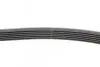 Ремінь генератора поліклиновий CONTINENTAL Contitech 6PK890 (фото 2)