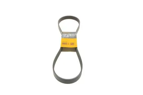 Ремінь генератора Fiat Ducato 2.3D 06- CONTINENTAL Contitech 7PK1236