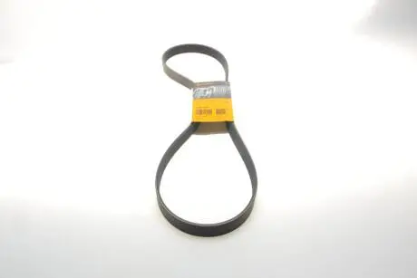 Пас поліклиновий Contitech 7PK1377