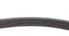 Комплект пасу поліклинового Renault Kangoo/Megane Contitech 7PK1605K1 (фото 4)