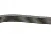 Пас поліклиновий Audi A8/VW Phaeton 4.2D 02-16 Contitech 7PK2535 (фото 2)