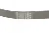Ремінь генератора поліклиновий CONTINENTAL Contitech 8PK1226 (фото 3)