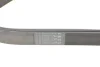 Ремінь генератора поліклиновий CONTINENTAL Contitech 8PK2035 (фото 3)