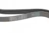 Пас поліклиновий MB Vario OM904 (+AC) Contitech 8PK2080 (фото 3)