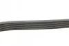 Поликлиновой ремень MERCEDES-BENZ W140 300 SE 03/91-10/98 (Пр-во) Contitech 8PK2440 (фото 2)