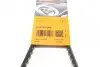 Ремінь генератора клиновий CONTINENTAL Contitech AVX13X1200 (фото 6)