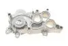 Комплект (ремінь+ролик+помпа) Contitech CT 1167 WP3 PRO (фото 12)