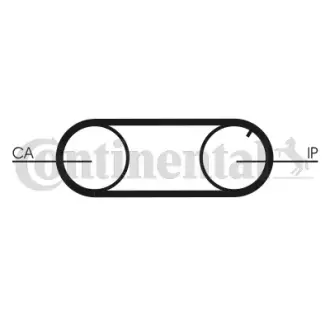 Комплект ГРМ (ремінь + ролик + помпа) Contitech CT704WP2PRO