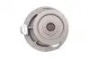 Комплект ремня ГРМ с насосом охлаждения двигателя ContiTech Contitech CT870WP2 (фото 13)