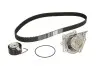 Комплект ГРМ (ремінь + ролик + водяний насос) LAND ROVER FREELANDER I LOTUS ELISE MG MG 6, MG TF, MG ZR, MG ZS, MG ZT, MG ZT- T, MGF ROVER 200, 200 II, 25 I, 400 II, 45 I, 75, 75 I 1.1-1.8 12.92- Contitech CT974WP1 (фото 2)