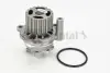Водяний насос Contitech WP6003 (фото 1)
