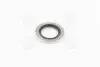 Кільце ущільнювач Renaul Megane III 1,5DCI CORTECO 006339H (фото 3)