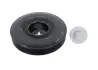 Шків колінвалу Renault Megane/Kangoo/Clio 1.5 dCi 08-/05- (з болтом) CORTECO 49418960