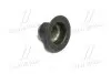 Сальник клапана IN/EX OPEL Z22SE 2,2 16V D1 6mm D2 10mm D3 25mm висота 16mm (вир-во Corteco) CORTECO 49472876 (фото 3)