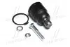 Опора кульова (передня/знизу) Ford Maverick/Mazda 626/323 91- (CBMZ-17) CB0274