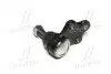 Опора кульова нижня Nissan Pathfinder R50 97-04 OLD CBN-64 (вир-во) CTR CB0325 (фото 3)